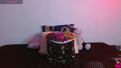 Snapshot of flacapaisa chatting on 11.13.25 nova online show from 11.13.25