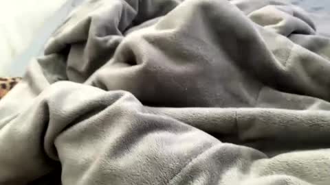 Jat online show from 12.21.24