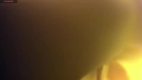    online show from 12.02.25