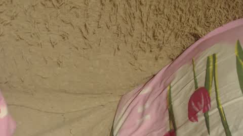 Snapshot of flowercandydoll chatting on 12.09.24 say meow and send tip  online show from 12.09.24