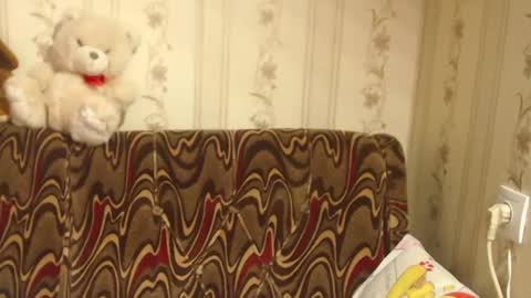 Snapshot of flowercandydoll chatting on 02.27.25 say meow and send tip  online show from 02.27.25