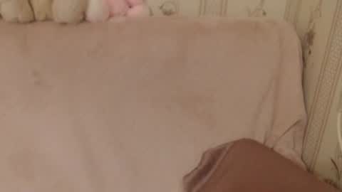 Snapshot of flowercandydoll chatting on 06.26.26 say meow and send tip online show from 06.26.26