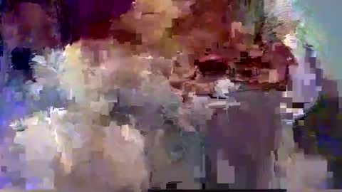 Snapshot of forest133 chatting on 12.12.24 forest133 online show from 12.12.24