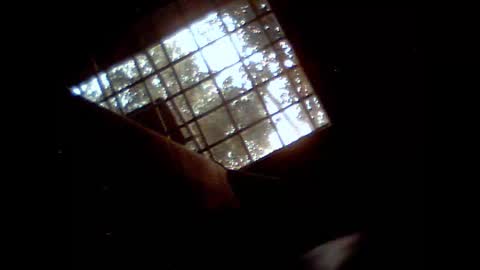 fra  71 online show from 02.09.26