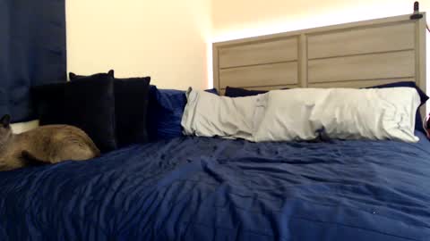 Snapshot of fragilemasochist chatting on 12.05.24 Angel online show from 12.05.24