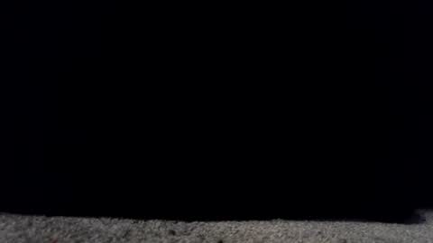 francescafey online show from 03.17.26