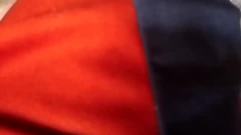 francis158915 online show from 09.11.25