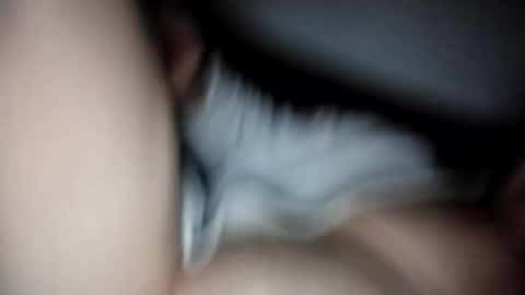 Wolfi online show from 01.08.26