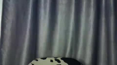 Snapshot of freaky_brula chatting on 07.02.26 freaky brula online show from 07.02.26