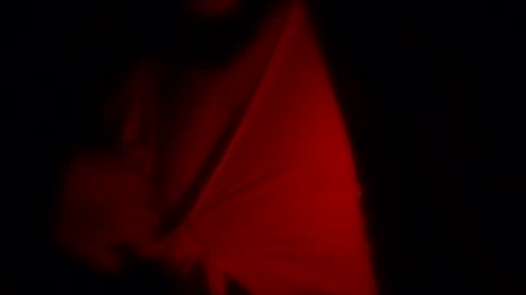 freaky_d48 online show from 11.12.25