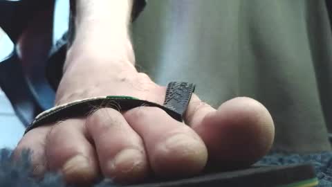 Greedy Fred online show from 02.04.26