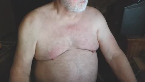 free_amos online show from 04.02.26