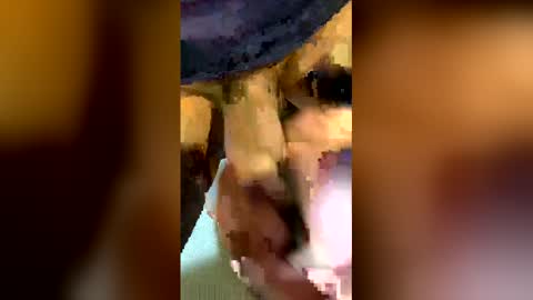 freestpeople online show from 04.14.26