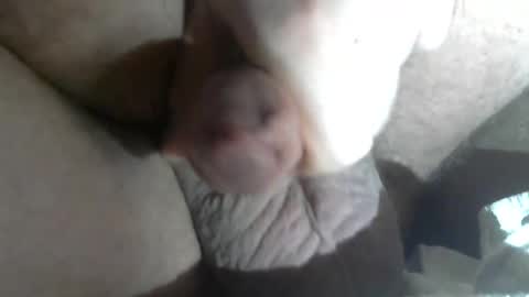 Call me Daddy online show from 02.05.25