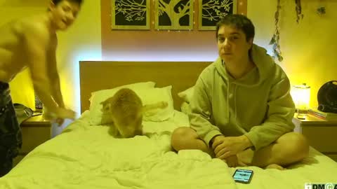 Snapshot of frenchhornybibs chatting on 01.26.25 French Horny Bibs online show from 01.26.25