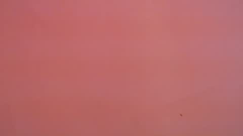 FREYJA LOREN online show from 01.16.25