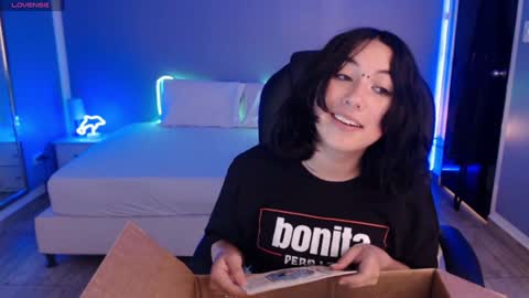 Snapshot of frida_lassi_ chatting on 01.29.25 frida_lassi_ online show from 01.29.25