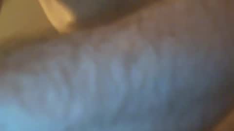 fromgermanywithlove1 online show from 04.17.26