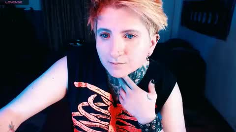          HEHIM  online show from 11.16.25