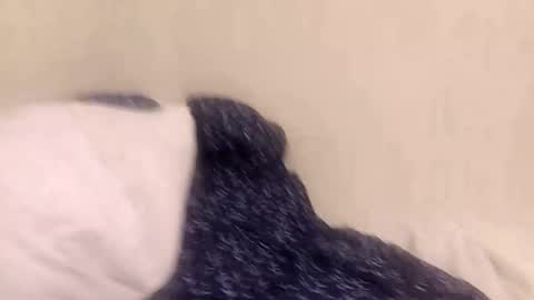 Snapshot of fuckmee12334wq chatting on 03.09.26 fuckmee12334wq online show from 03.09.26