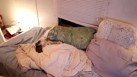 fuckmypussyplz1 online show from 09.11.25