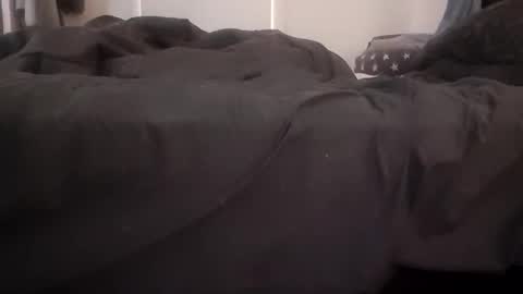 Pizzaz online show from 12.08.24