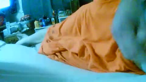 fultonstreet196860 online show from 11.24.25