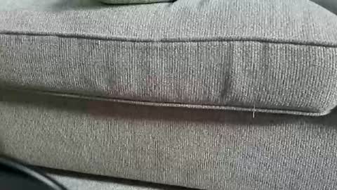 marklaura online show from 09.12.25