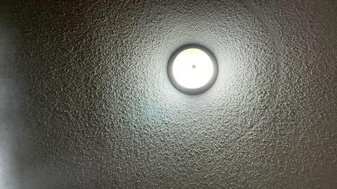 furburgermuncher89 online show from 02.22.25