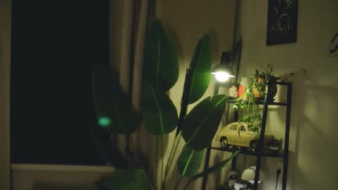 G online show from 02.26.26