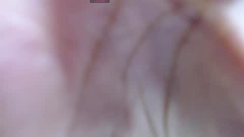 Snapshot of gabriela_morales01 chatting on 12.12.24 . online show from 12.12.24