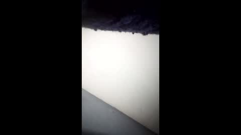 Ganis online show from 04.26.26