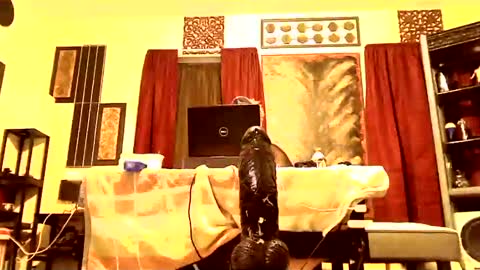 gatewaylaptop2019 online show from 03.09.25