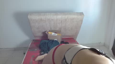 gatita13333321 online show from 01.20.25