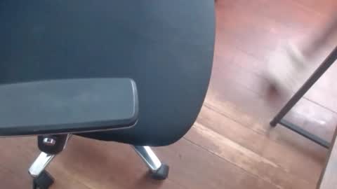 Snapshot of gato27cam chatting on 04.20.26 Marco online show from 04.20.26