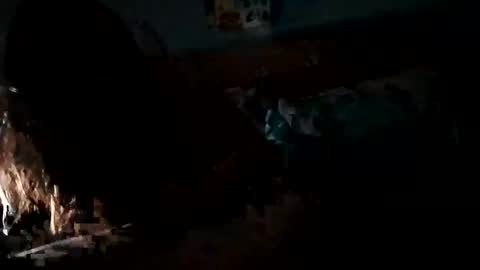 Daddy Gator online show from 02.27.25