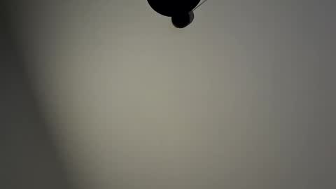 gazg1984 online show from 01.29.25