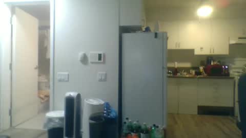 geekgamer41 online show from 11.03.25