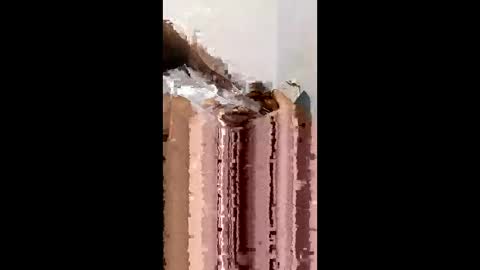 gemstar33184100 online show from 04.09.26