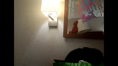 Snapshot of gemstone445 chatting on 02.05.26 gemstone445 online show from 02.05.26