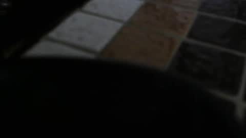 gene online show from 12.31.24