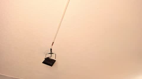 Georgina  online show from 03.15.26