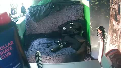 getfucked321jake online show from 01.16.25