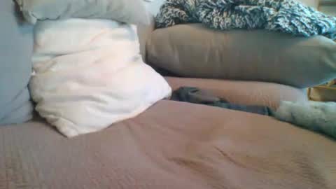 Getsome11 online show from 03.08.26