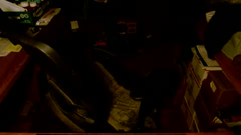 gfhdhr2 online show from 03.04.25