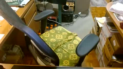 gfhdhr2 online show from 03.30.26