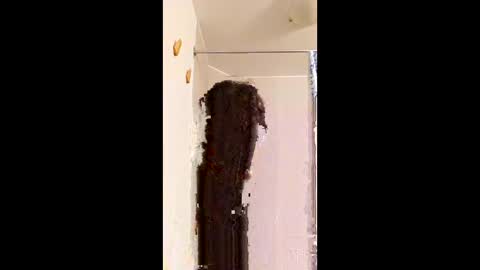 ggggu495826 online show from 02.10.26