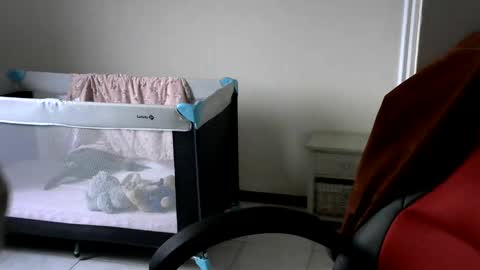 Gisse online show from 02.24.25