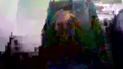 ghardh3 online show from 02.19.25