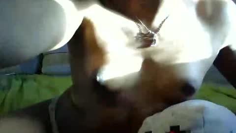 ghastgirlt_t online show from 10.13.25